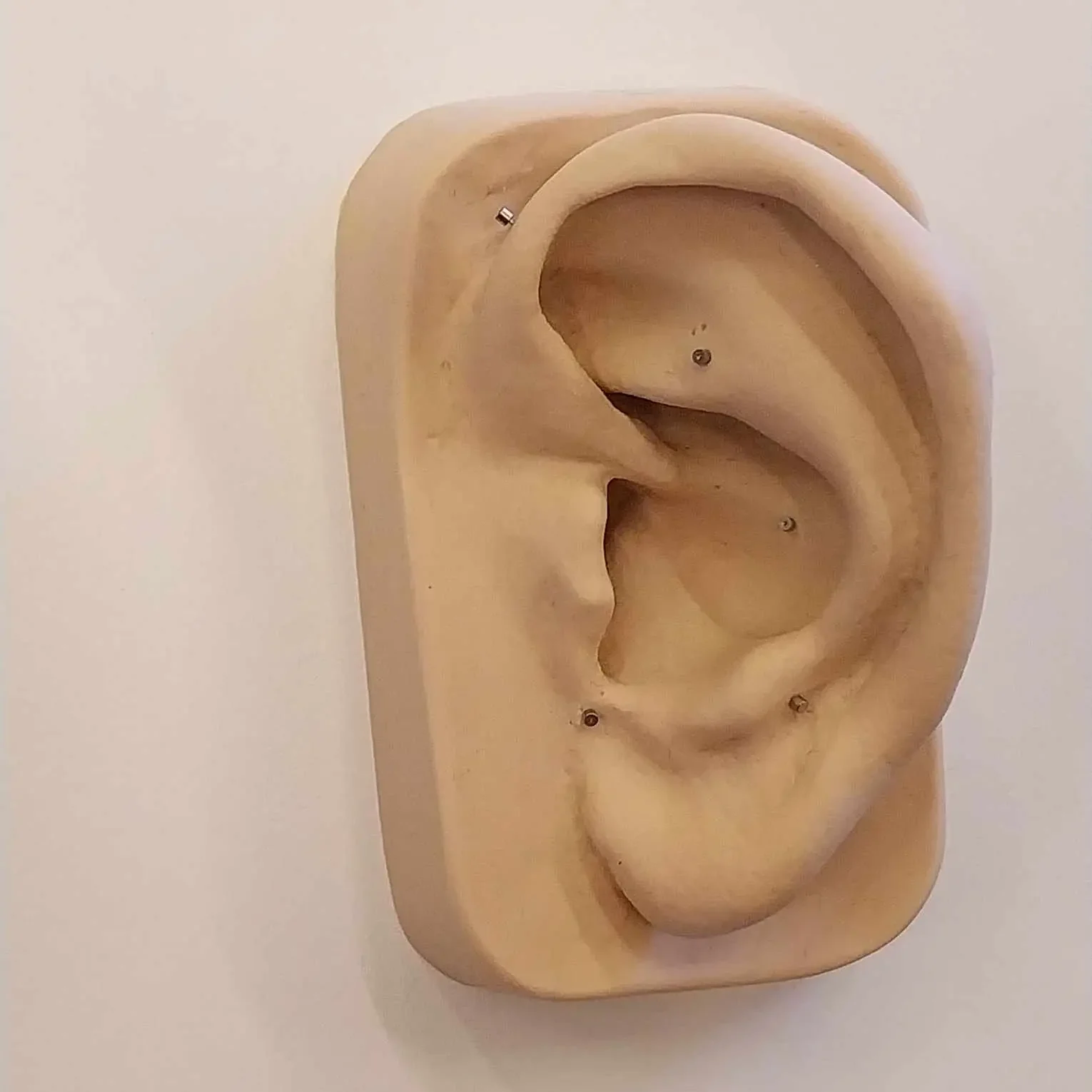 rehabilitacja_pola_bitwy_BFA